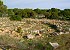 Jaciments prehistòrics de Formentera: Foto 3